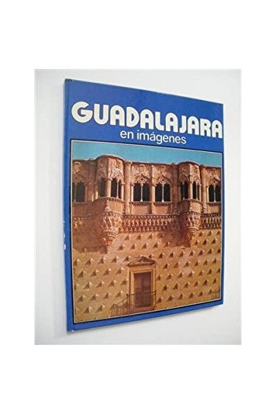 Guadalajara En Imágenes